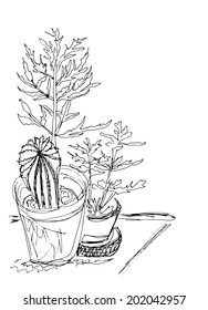A black and white graphic sketch of house plants at windowsill, Chinese ink