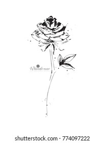 Black and white graphic, watercolor rose