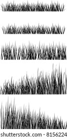 Black and white grass
