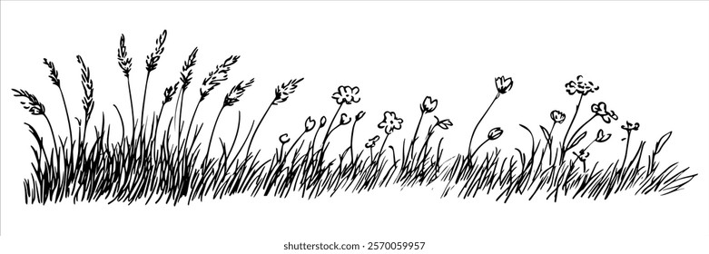 black and white grass and wildflowers illustration with wheat details