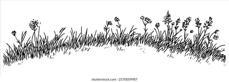 black and white grass and wildflowers illustration in natural style