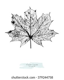 Black and white (grayscale) vector maple leave; stylized as stamp or imprint; rustic or boho style