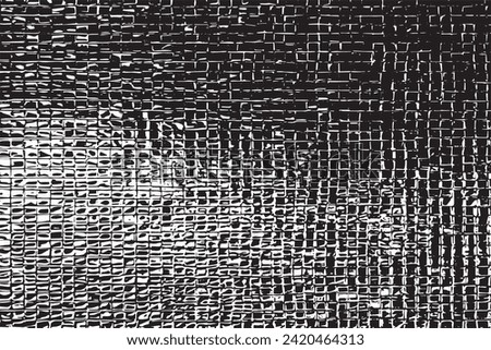 black and white grunge aesthetic texture vector image