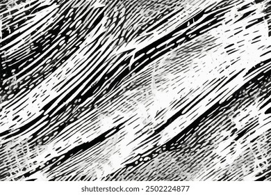 Black and white Grunge Background. Monochrome texture. Abstract black and white vector background.