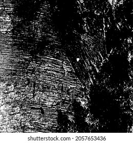 Black and white grunge background. Texture vector template for design projects