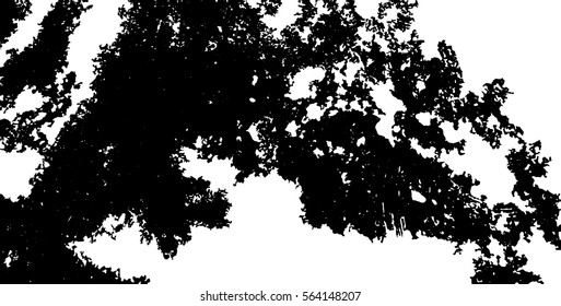 Black and white grunge background and texture