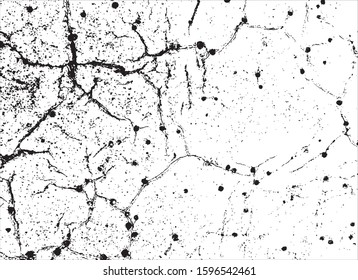black and white grunge background vector