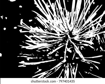 Black and white grunge cactus texture. Vector abstract vintage pattern. Monochrome background with noise and grain. Banner template.