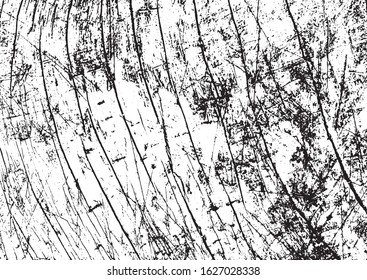 Black and white grunge. Distress overlay texture. Abstract surface dust and rough dirty wall background concept. Distress illustration simply place over object to create grunge effect. Vector EPS10.
