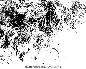 Black and white grunge grass texture. Vector abstract vintage pattern. Monochrome background with noise and grain. Banner template.