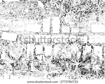 Black and white grunge overlay texture featuring a distressed brick path overgrown with messy grass.