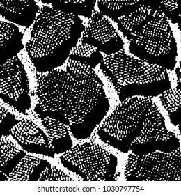 Black and white grunge stripe line vector background. Abstract halftone illustration background. Grunge grid background pattern
