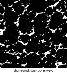 Black and white grunge stripe line vector background. Abstract halftone illustration background. Grunge grid background pattern
