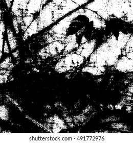 Black and white Grunge texture. 