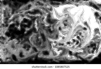 Black and white grunge texture. Abstract halftone background. Vector pattern.