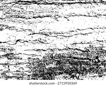 Black and white grunge texture background with rough surface