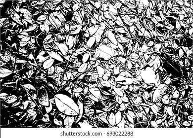 Black and white Grunge texture. Grunge background. Dust Overlay Distress Dirty Grain.Perfect background with space. Distress Overlay Texture For Design.