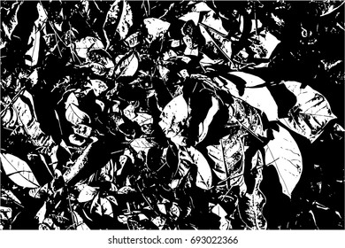 Black and white Grunge texture. Grunge background. Dust Overlay Distress Dirty Grain.Perfect background with space. Distress Overlay Texture For Design.