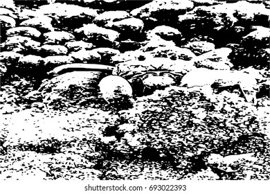 Black and white Grunge texture. Grunge background. Dust Overlay Distress Dirty Grain.Perfect background with space. Distress Overlay Texture For Design.