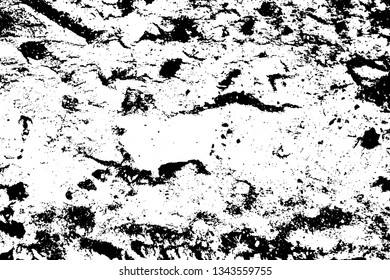 Black and white grunge texture. Dark dirty background. Template for design