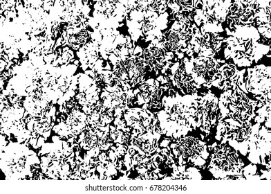 Black and white grunge texture. Marbling illustration. Abstract background. Vector pattern.