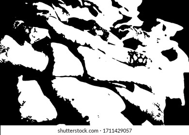 Black and white grunge texture. Monochrome background abstract
