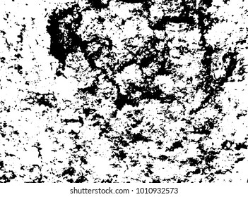 Black and white grunge texture. Vector abstract vintage bark with moss on tree pattern. Monochrome spot background with noise and grain. Banner template.