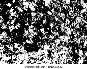 Black and white grunge texture. Vector abstract vintage bark with moss. Monochrome background with noise and grain. Banner template.