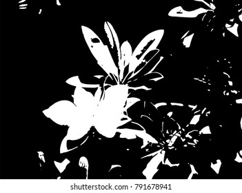 Black and white grunge texture. Vector abstract vintage flower pattern. Monochrome background with noise and grain. Banner template.