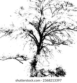black white grunge tree vector illustration
