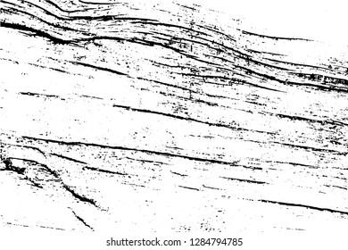 Black and white grunge urban texture vector with copy space. Abstract illustration surface dust and rough dirty wall background with empty template. Distress and grunge effect concept. Vector EPS10.
