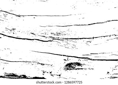 Black and white grunge urban texture vector with copy space. Abstract illustration surface dust and rough dirty wall background with empty template. Distress and grunge effect concept. Vector EPS10.
