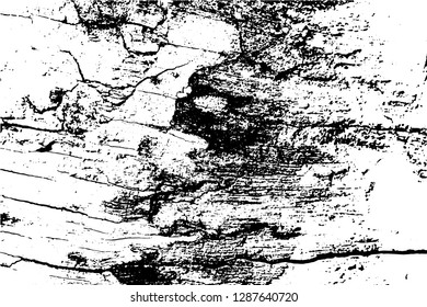 Black and white grunge urban texture vector with copy space. Abstract illustration surface dust and rough dirty wall background with empty template. Distress and grunge effect concept. Vector EPS10.
