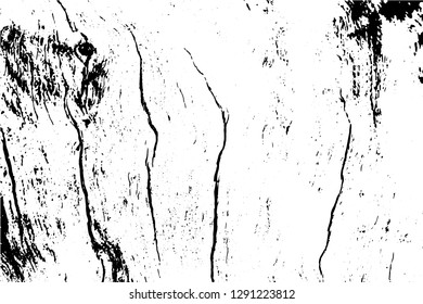 Black and white grunge urban texture vector with copy space. Abstract illustration surface dust and rough dirty wall background with empty template. Distress and grunge effect concept. Vector EPS10.
