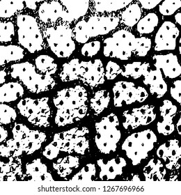 Black and white grunge. Vector monochrome texture