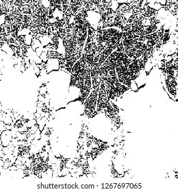 Black and white grunge. Vector monochrome texture