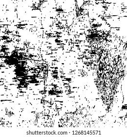 Black and white grunge. Vector monochrome texture