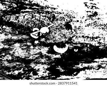 Black and white grunge vector stencil of wild mushrooms cluster growing on a decayed rotten log