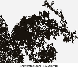 Black and white grunge, vector texture. Abstract background. Effect of grain and noise. Template for design, retro style.