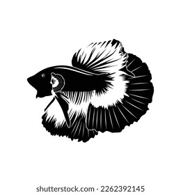 Black and white halfmoon betta fish vector illustration