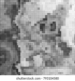 Black and white halftone. Abstract pattern monochrome vector. The texture of the spots of ink print and design