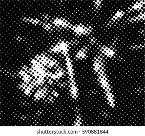 Black and white halftone pattern. Ink Print Distress Background . Dots Grunge Texture. Monochrome surface for your design.  Vector.