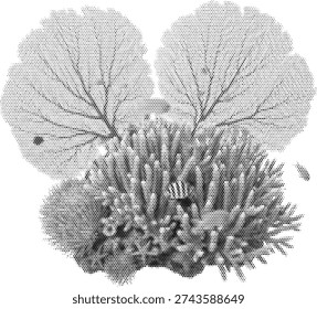 Black and white halftone vector illustration of herbs parsley with radiant foliage in retro vintage botanical plant style for poster print and graphic design.