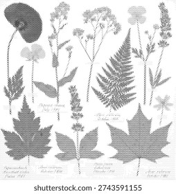Black and white halftone vector illustration of tropical leaves in vintage botanical style. Monochrome dotted stippled texture design of natural foliage perfect for poster print and nature themed graphic design projects. Retro grainy artwork.
