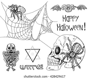 Black and white Halloween set with spiders, cobweb, pentacle, lettering, skull, skeleton and bones. Doodle line art illustration and graphic sketch, hand drawn vector with icons of tarantula and demon
