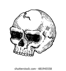 black and white hand drawing head skull
