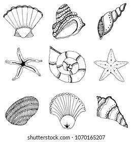 Black and white hand drawing set of shells