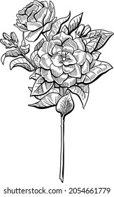 Black and white hand drawing sketch of flowers