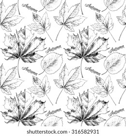 Black and white hand drawn autumn leaves. Vector illustration.