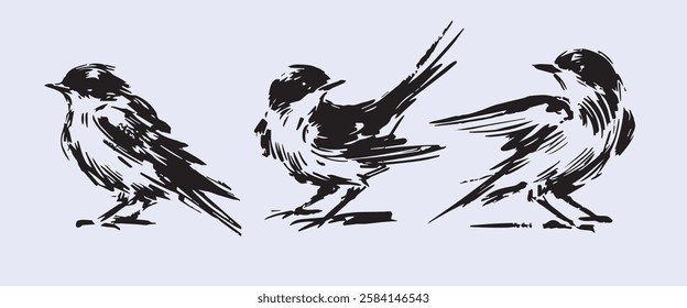 Black and White Hand Drawn Birds in Various Poses. Rough Ink Sketch with Feather Details. Wildlife Illustration for Print, Tattoo, Design Element. Abstract Doodle Art. Vector Illustration.